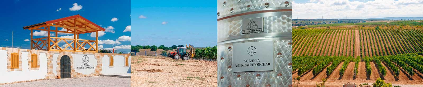 Виноградники плато Кара-Тау Усадьба Александровская