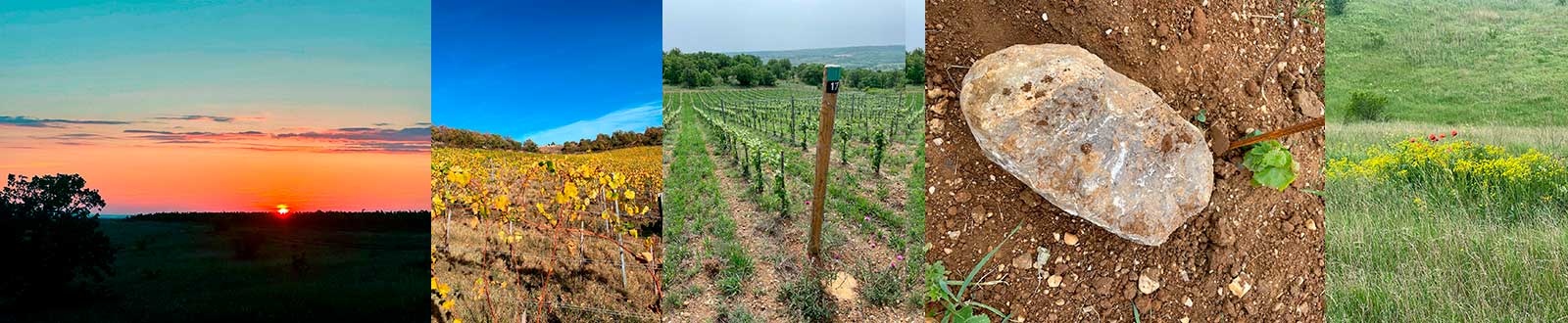 Усадьба Зейбель виды