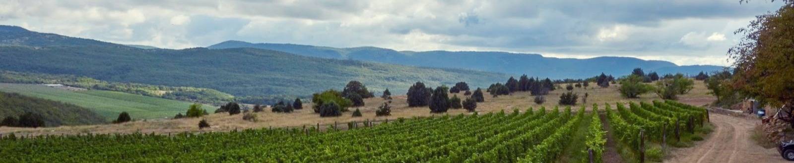 Виноградники Uppa