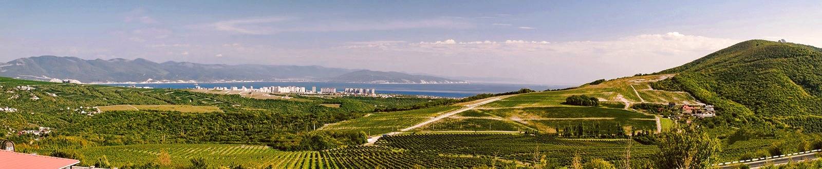 Виноградники Усадьба Мысхако