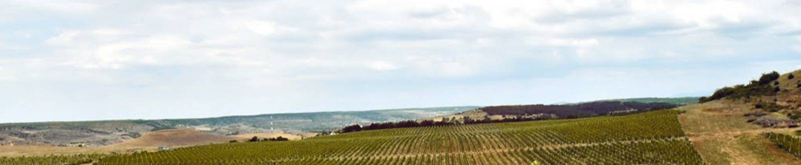 Виноградник Усадьба Перовских