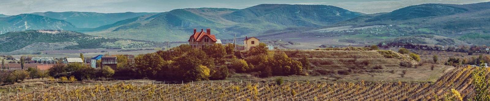 Виноградник Золотая Балка