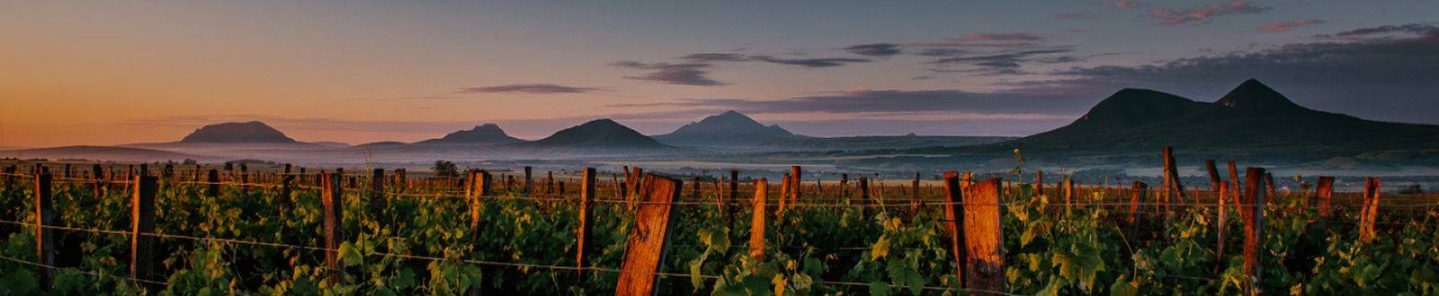 Виноградники Батрака, Верблюд-гора