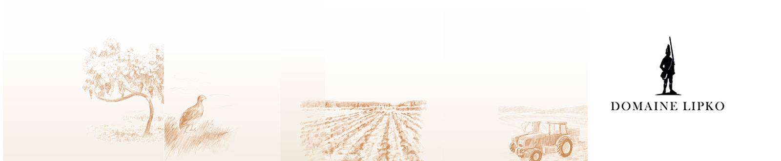 Домен Липко