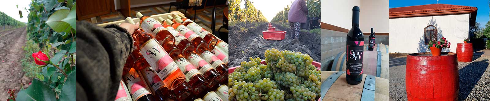 Сухов Вайнери