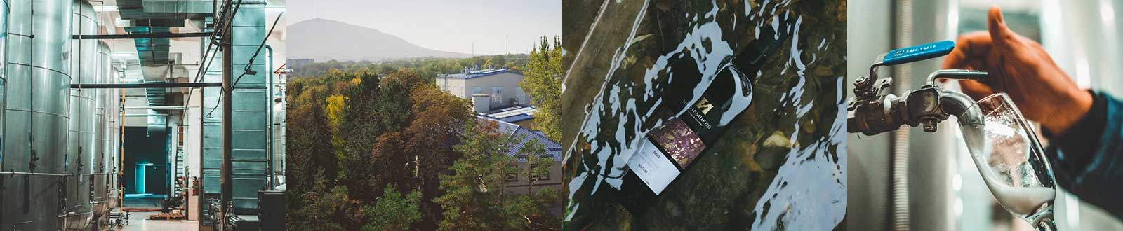 Винодельня Иноземцево фотографии